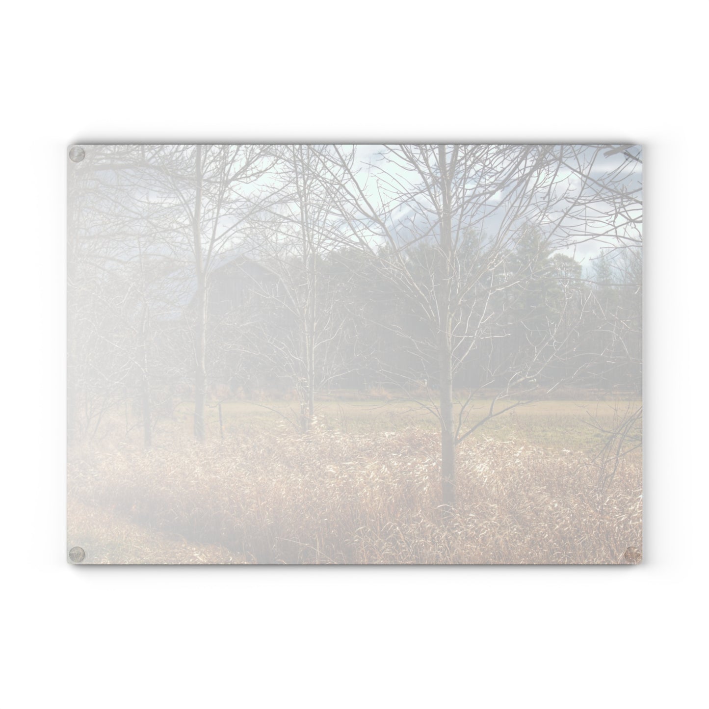 U R There Photography Speaker Road Hidden Grey Rustic Farmhouse Tempered-Glass Cutting Board