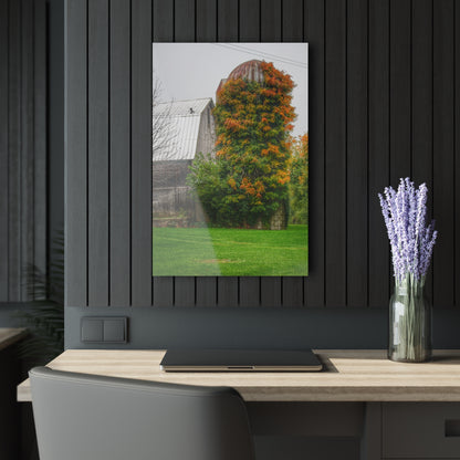 U R There Photography Ludwig Road Oxford Grey and Silo Rustic Farmhouse Acrylic Wall Print