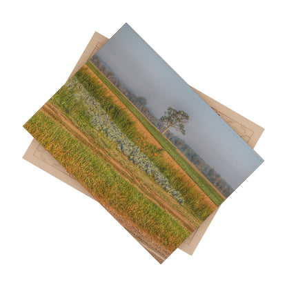 U R There Photography Cabbage and Pumpkin Patch Rustic Farmhouse Decorative Ceramic Tile