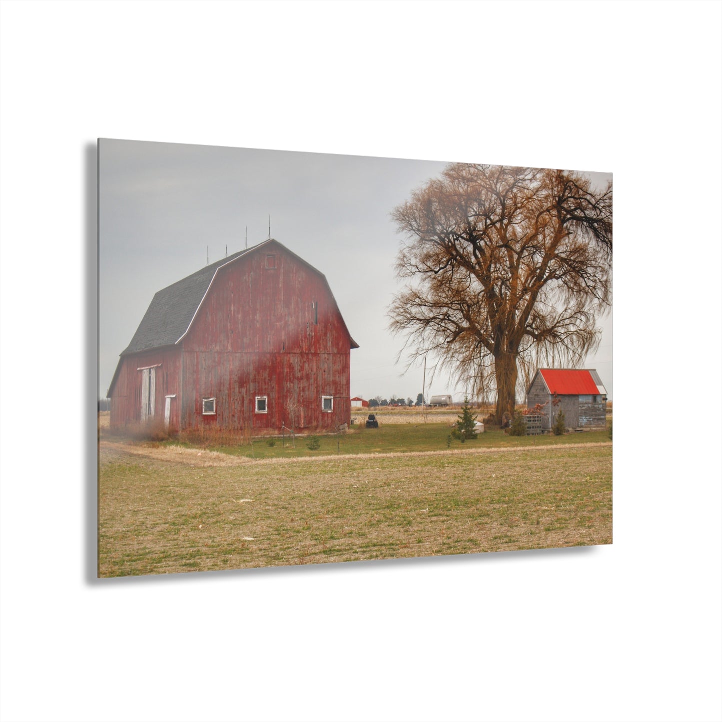 U R There Photography Loomis Road Red Rustic Farmhouse Acrylic Wall Print