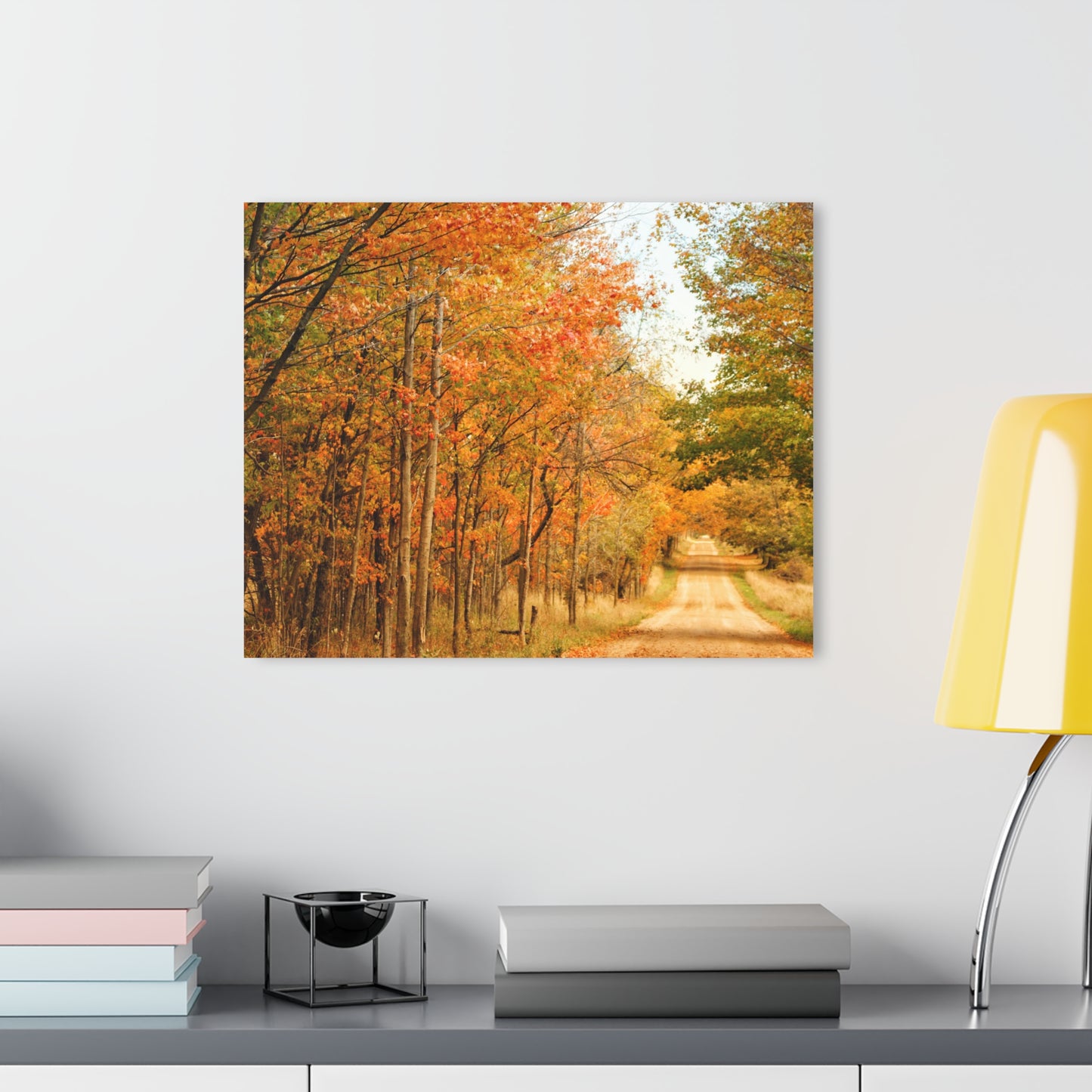 Barn Boutique Modern Farmhouse Acrylic Wall Print| Murphy Lake Road in the Fall I