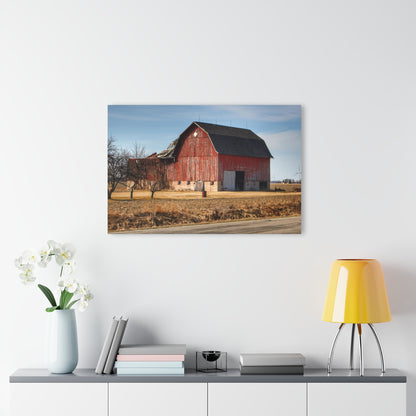 U R There Photography Elmwood Forgotten Apple Red Rustic Farmhouse Acrylic Wall Print