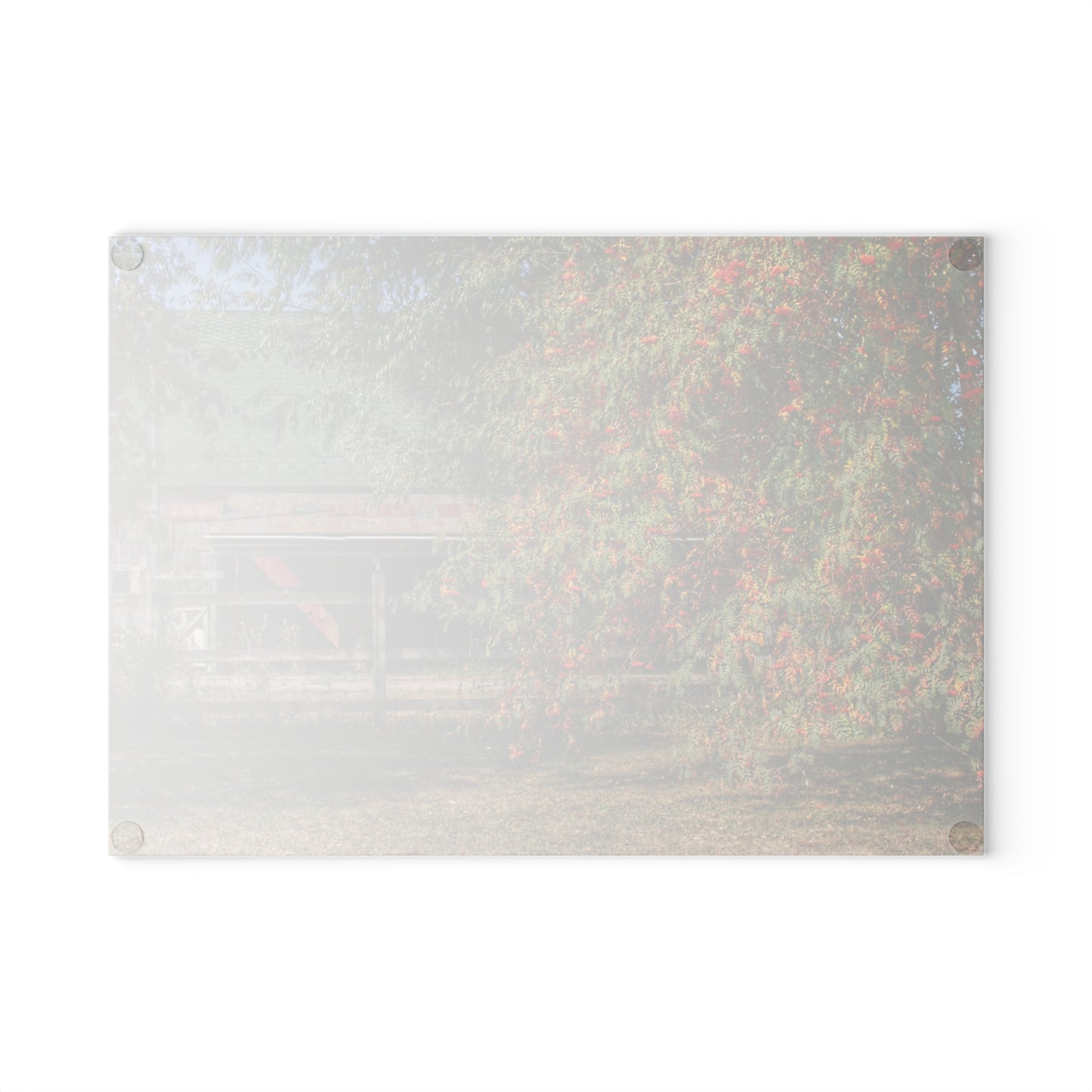 U R There Photography Farrand Road Red Coral by Flowering Tree Rustic Farmhouse Tempered-Glass Cutting Board