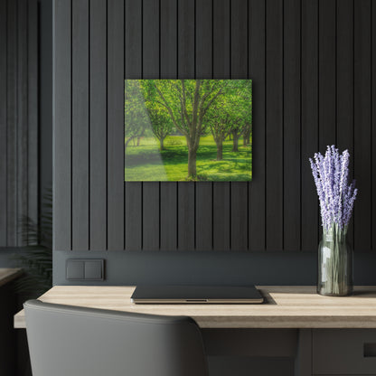 U R There Photography Spring Trees in Chartreuse Rustic Farmhouse Acrylic Wall Print