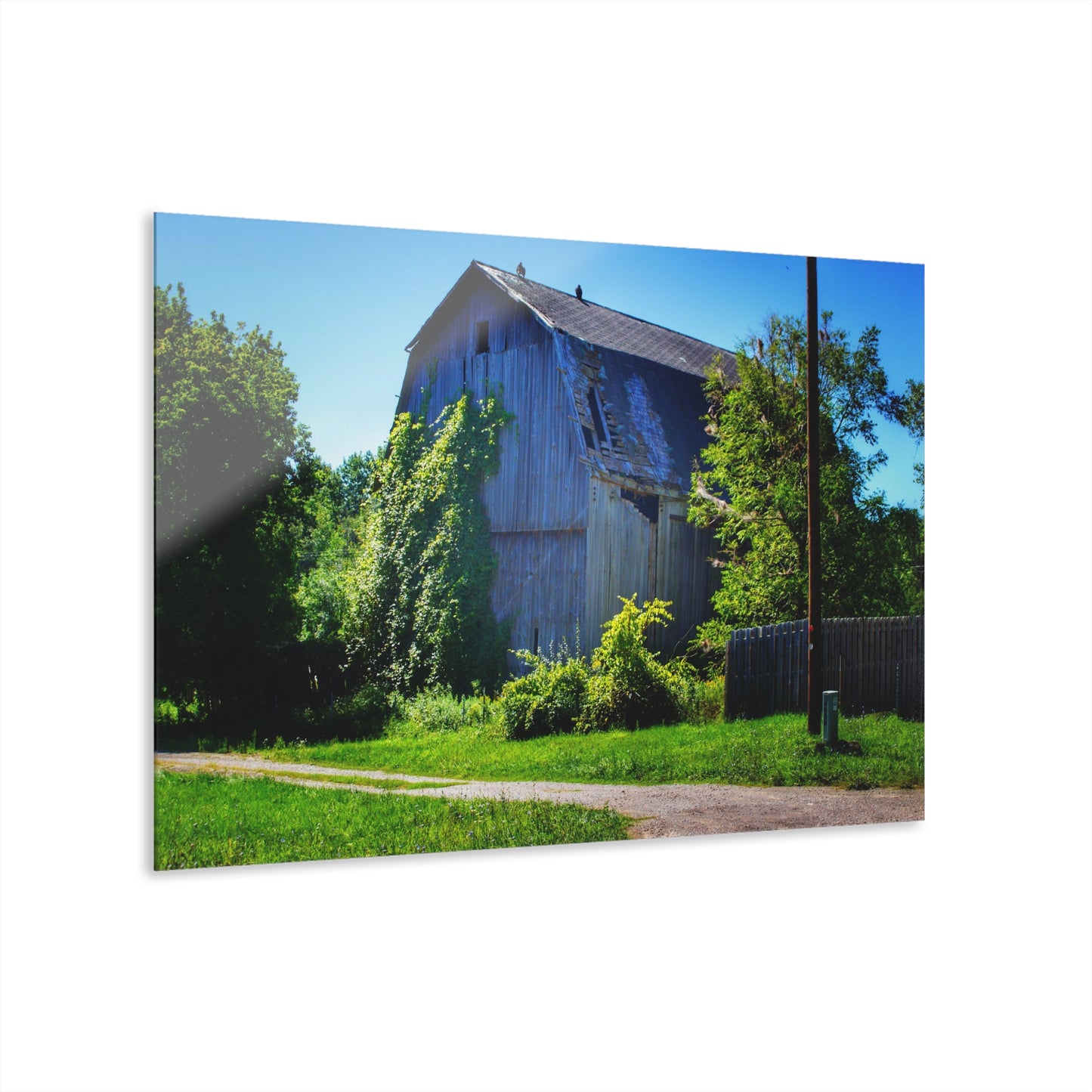 U R There Photography Dryden Road Grey Rustic Farmhouse Acrylic Wall Print
