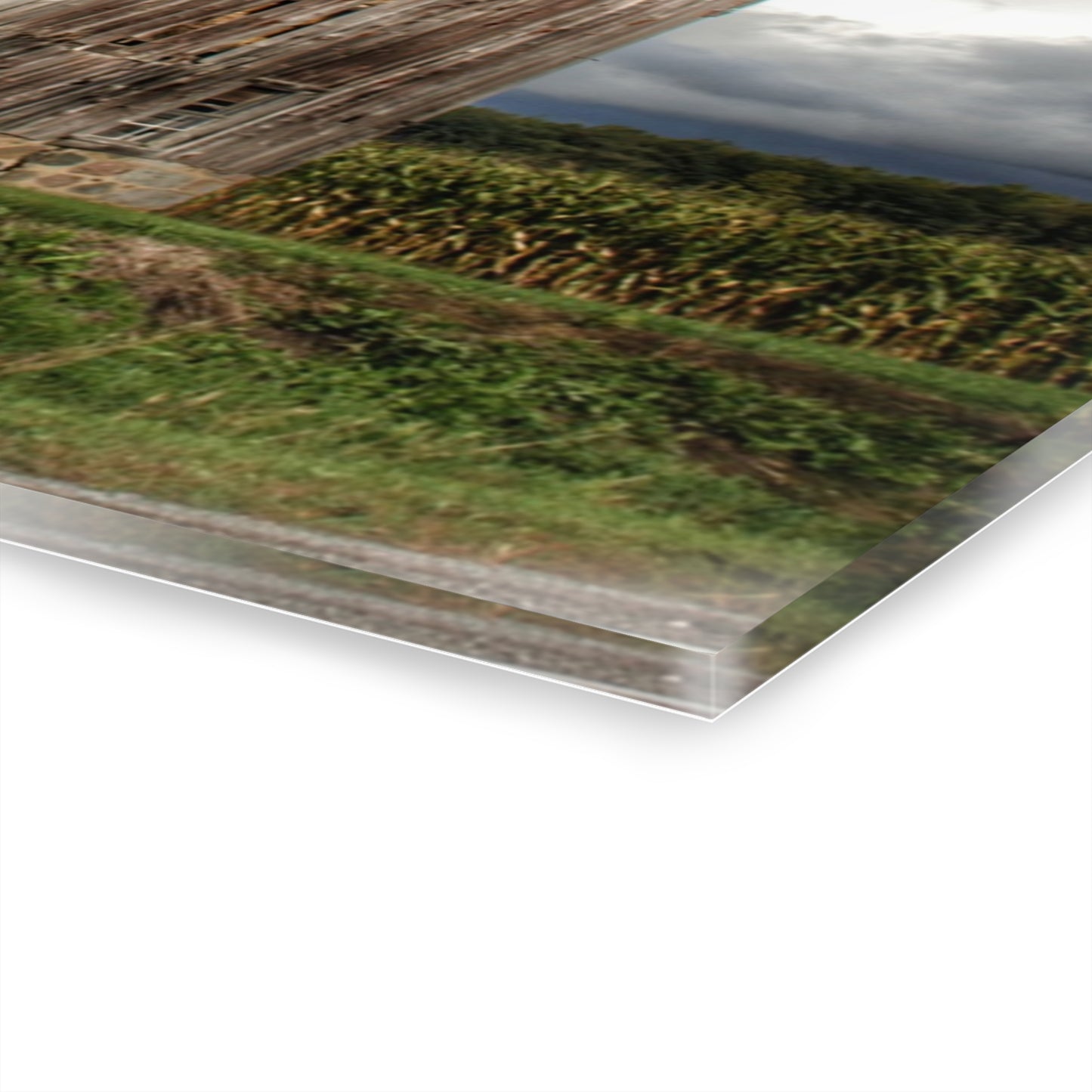 U R There Photography North Irish Red III Rustic Farmhouse Acrylic Wall Print