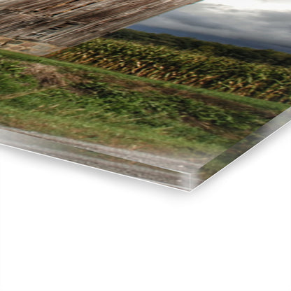 U R There Photography North Irish Red III Rustic Farmhouse Acrylic Wall Print