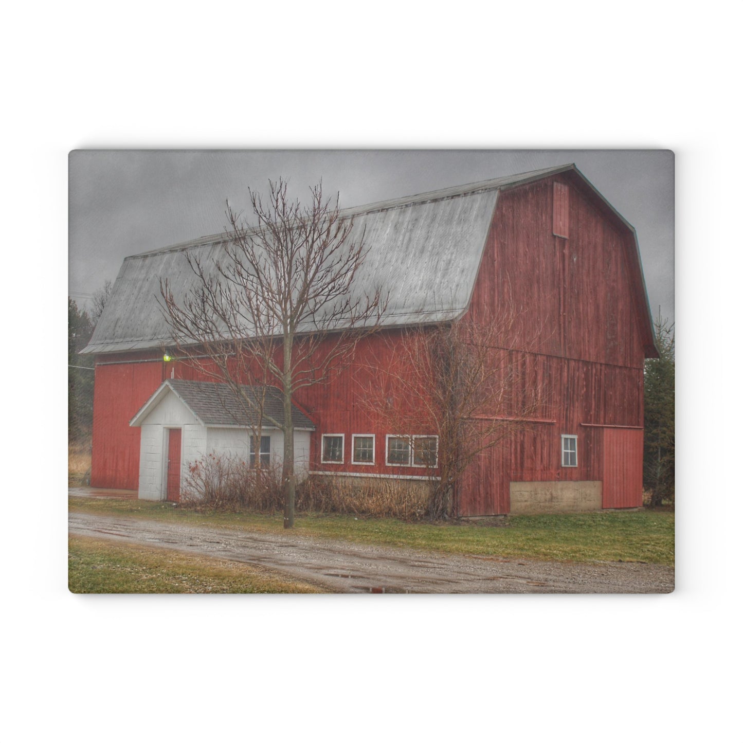 U R There Photography Bray Road Red II Rustic Farmhouse Tempered-Glass Cutting Board