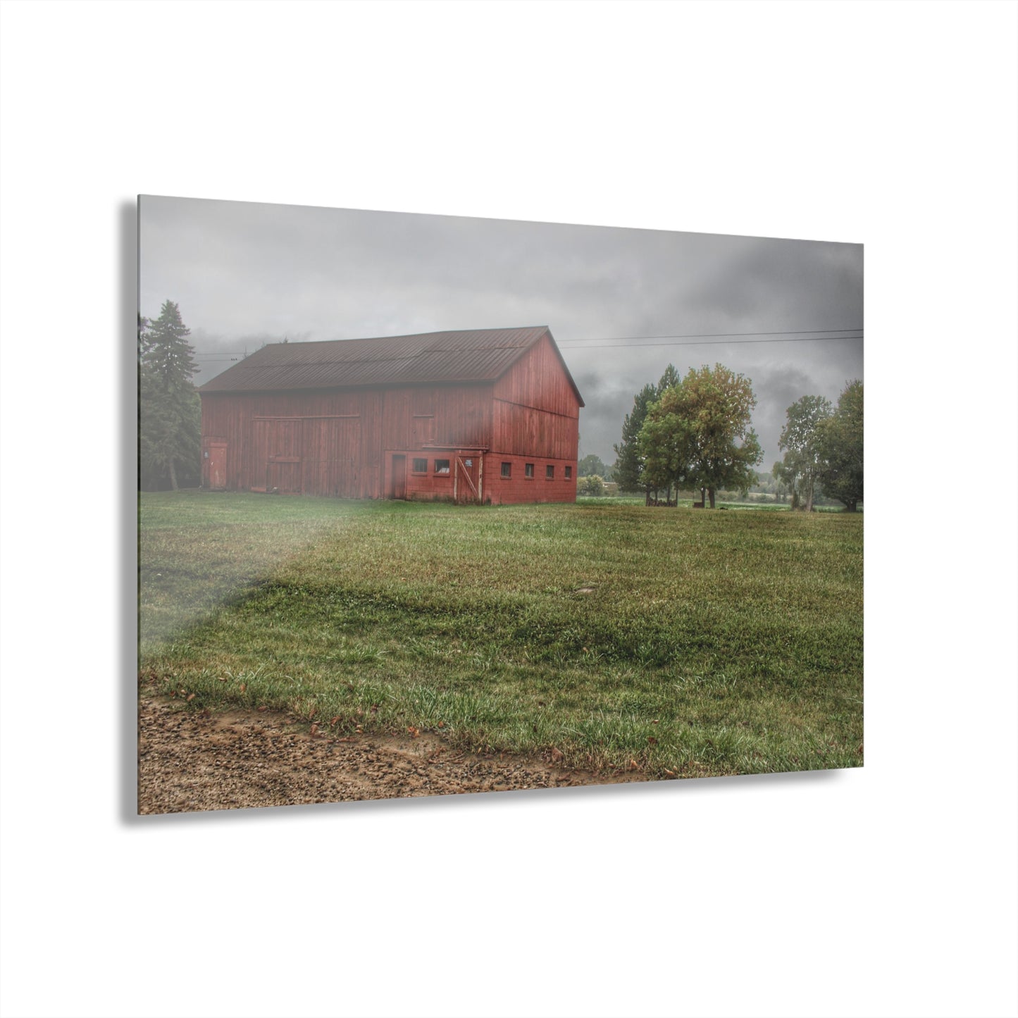 U R There Photography Birch Road Red Rustic Farmhouse Acrylic Wall Print