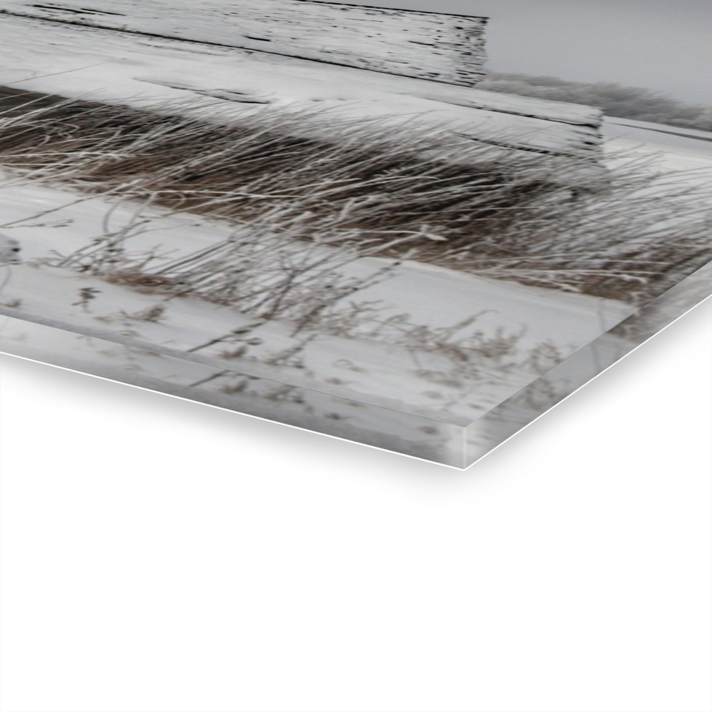 U R There Photography Grey Shacks of Mayville Rustic Farmhouse Acrylic Wall Print