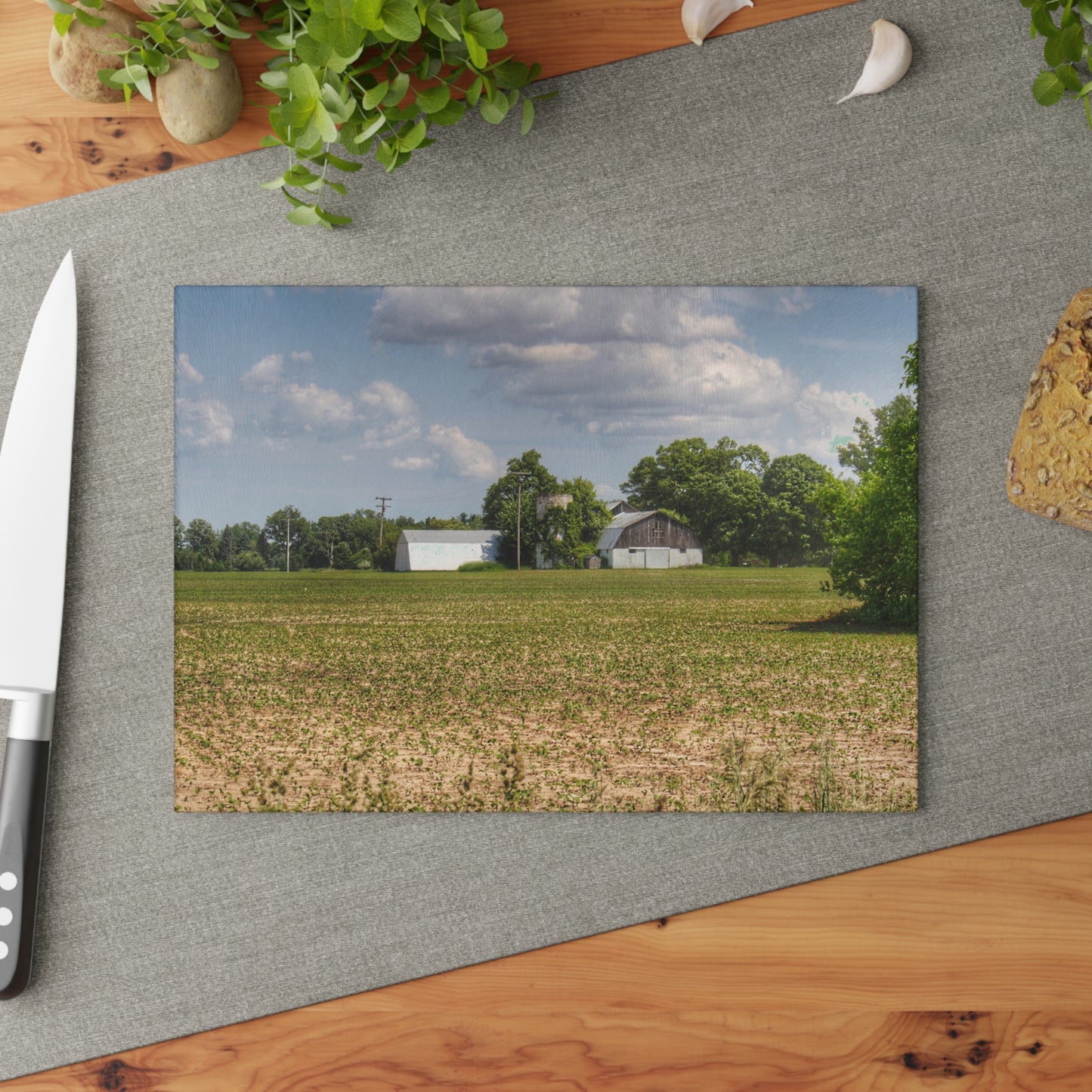 U R There Photography Willard Road White Rustic Farmhouse Tempered-Glass Cutting Board