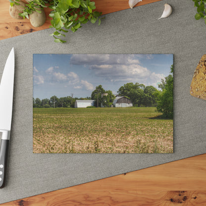 U R There Photography Willard Road White Rustic Farmhouse Tempered-Glass Cutting Board