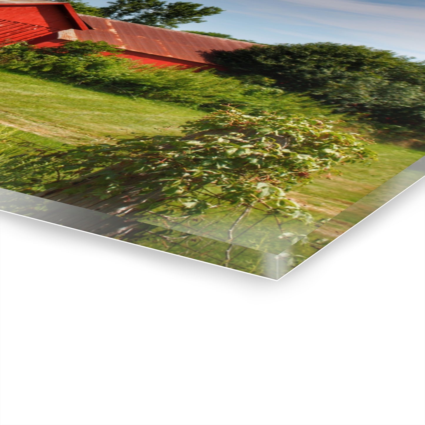 U R There Photography South Oak Road Reds II Rustic Farmhouse Acrylic Wall Print