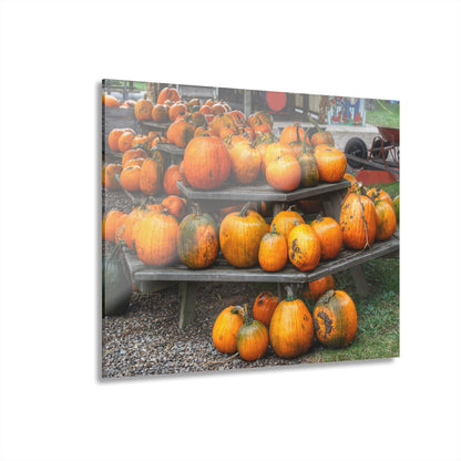 U R There Photography Tabletop Pumpkins Rustic Farmhouse Acrylic Wall Print