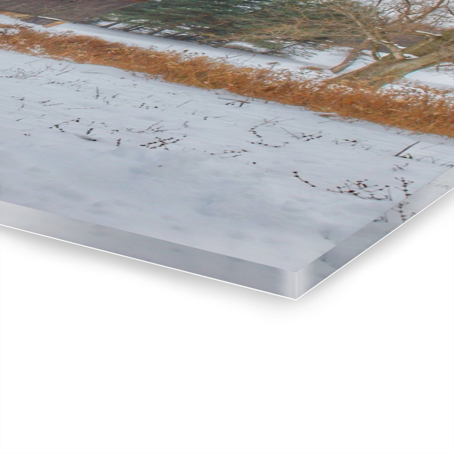 U R There Photography Hosner Road Grey in Late Fall Rustic Farmhouse Acrylic Wall Print