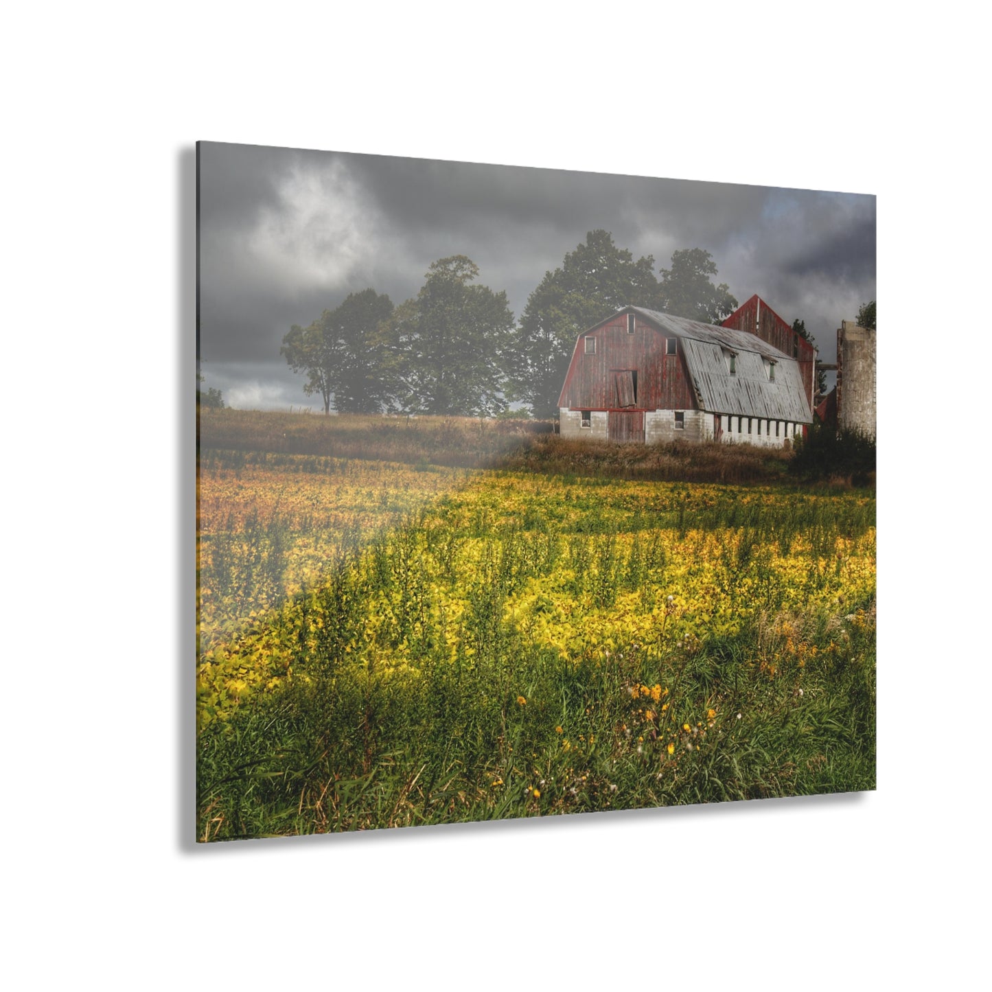 U R There Photography Remnants Rustic Farmhouse Acrylic Wall Print