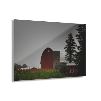 U R There Photography Beyond the Fog on Haines Rustic Farmhouse Acrylic Wall Print