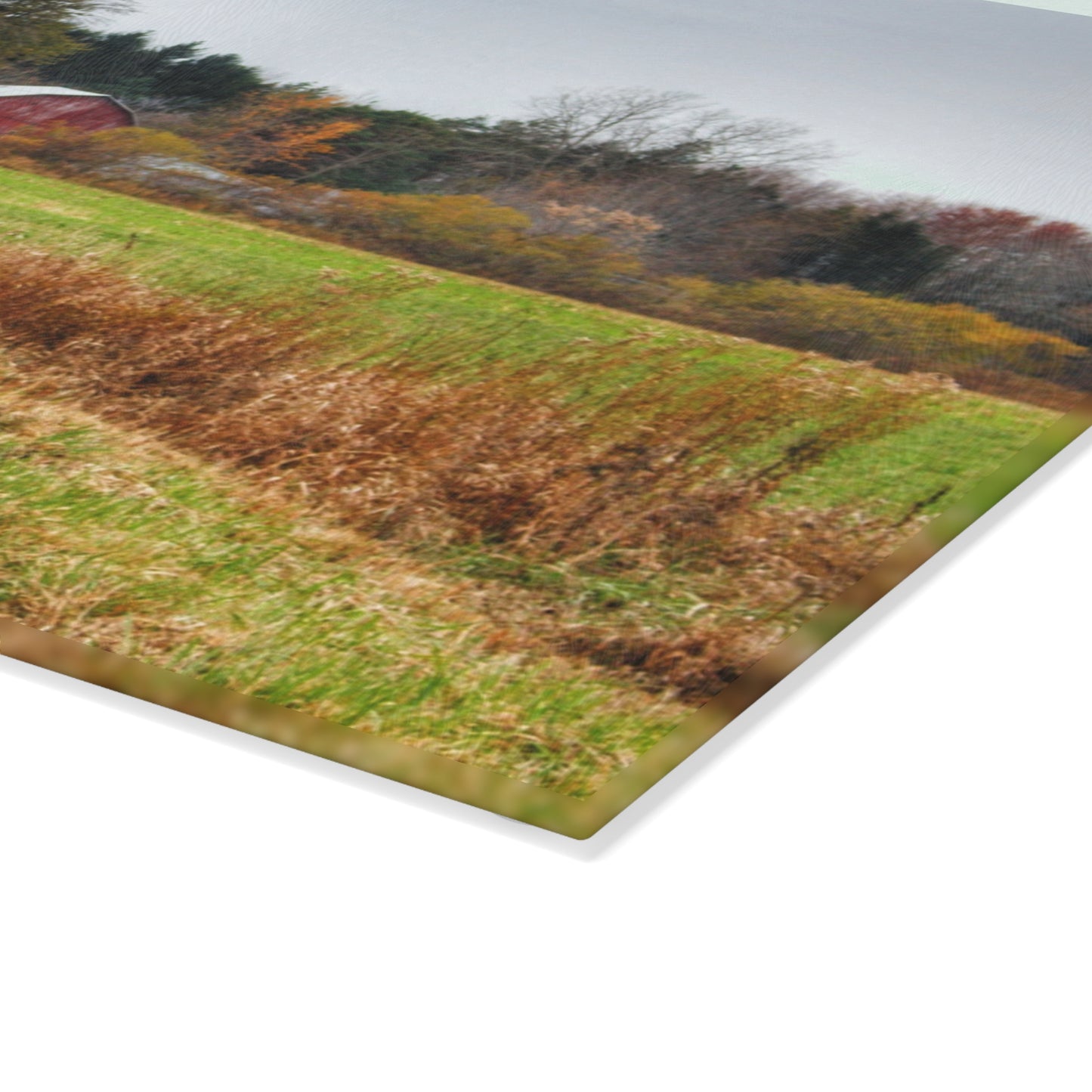 U R There Photography Stone Road Red Rustic Farmhouse Tempered-Glass Cutting Board