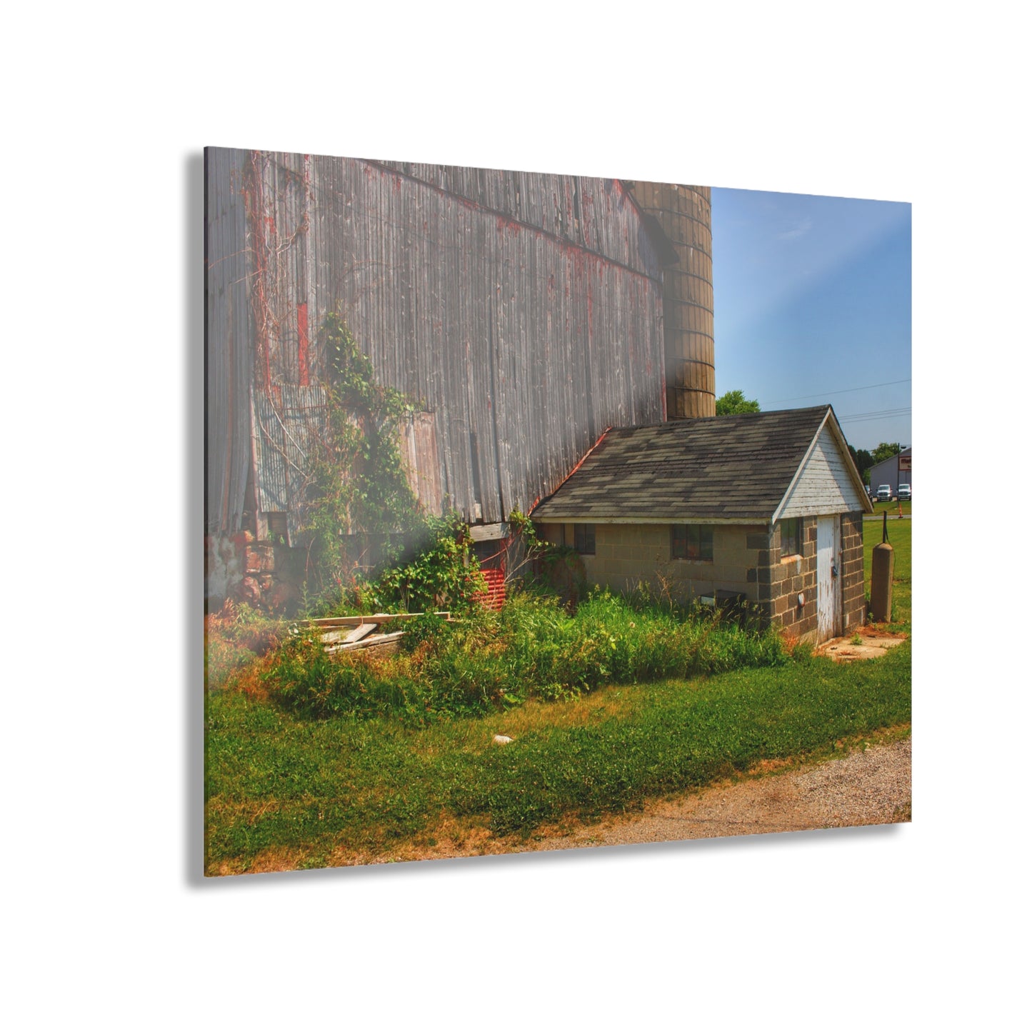 U R There Photography Marlette Red V Rustic Farmhouse Acrylic Wall Print