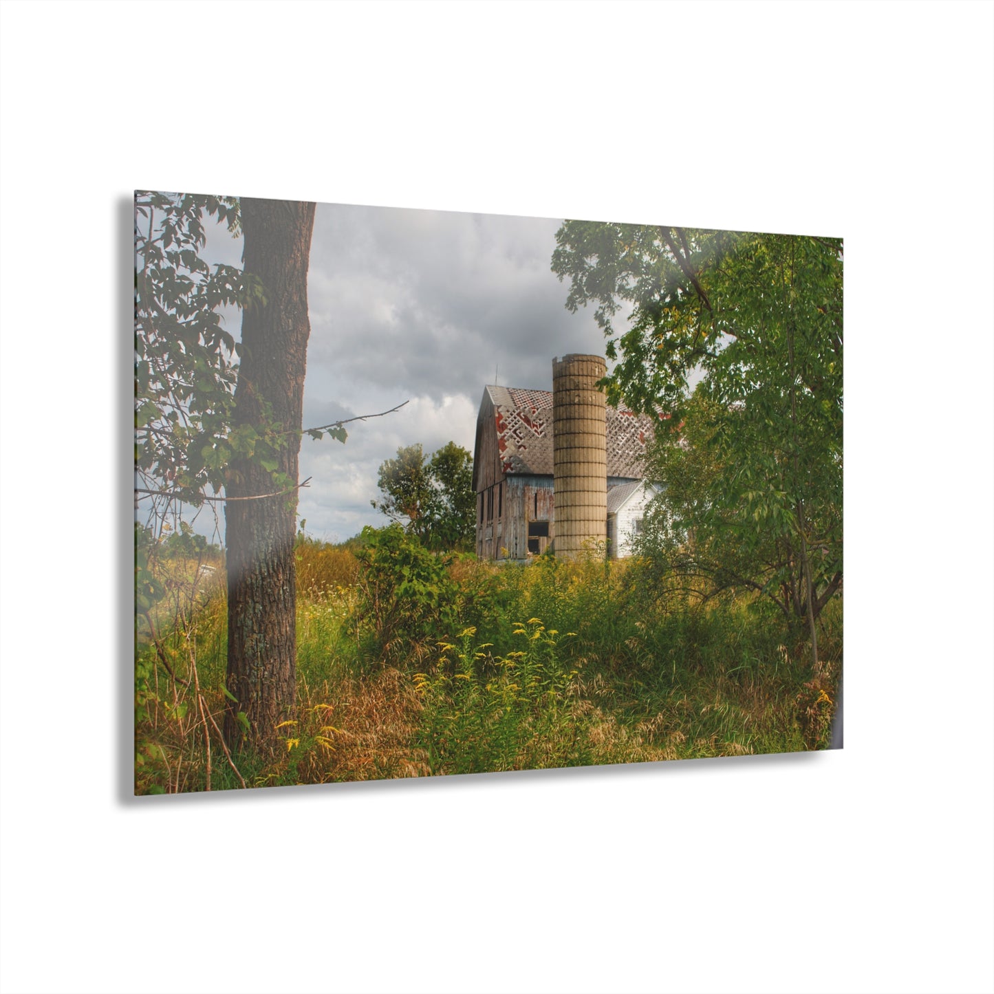 U R There Photography Hill Road Roadside Grey III Rustic Farmhouse Acrylic Wall Print