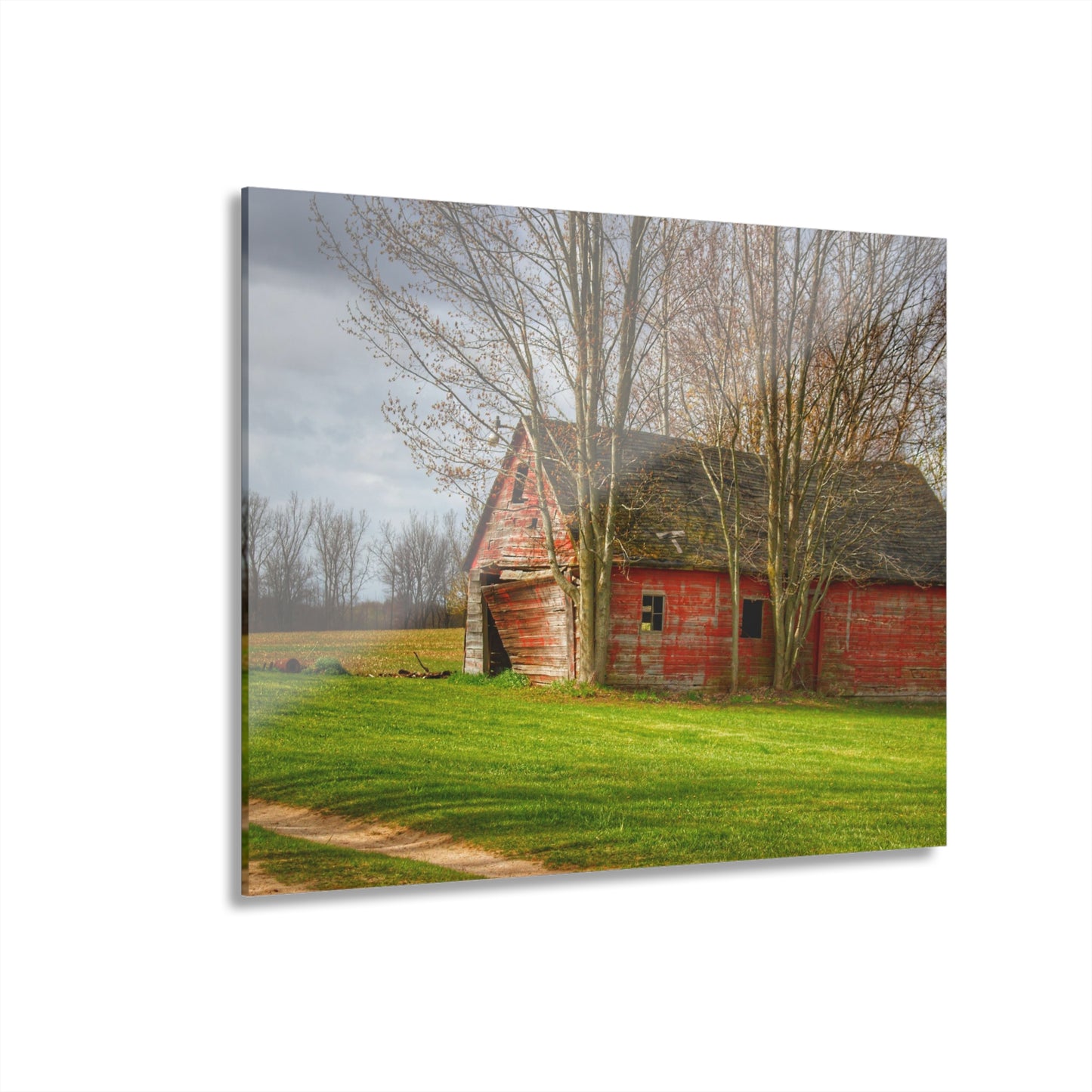 U R There Photography Centerline Shack Rustic Farmhouse Acrylic Wall Print