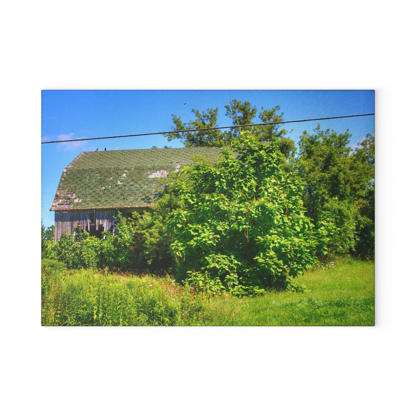 U R There Photography Hidden Grey of Hunters Creek Rustic Farmhouse Tempered-Glass Cutting Board