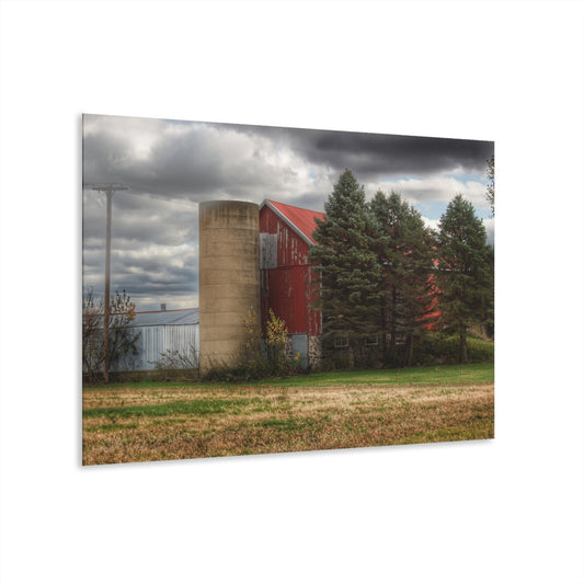 U R There Photography Laur Road Red Among the Pines II Rustic Farmhouse Acrylic Wall Print
