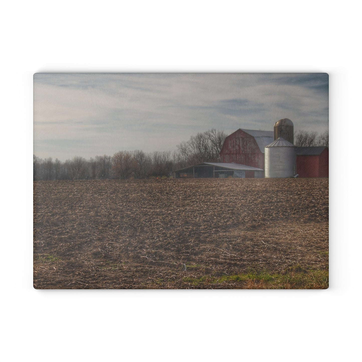 U R There Photography Cumber Road Red II Rustic Farmhouse Tempered-Glass Cutting Board