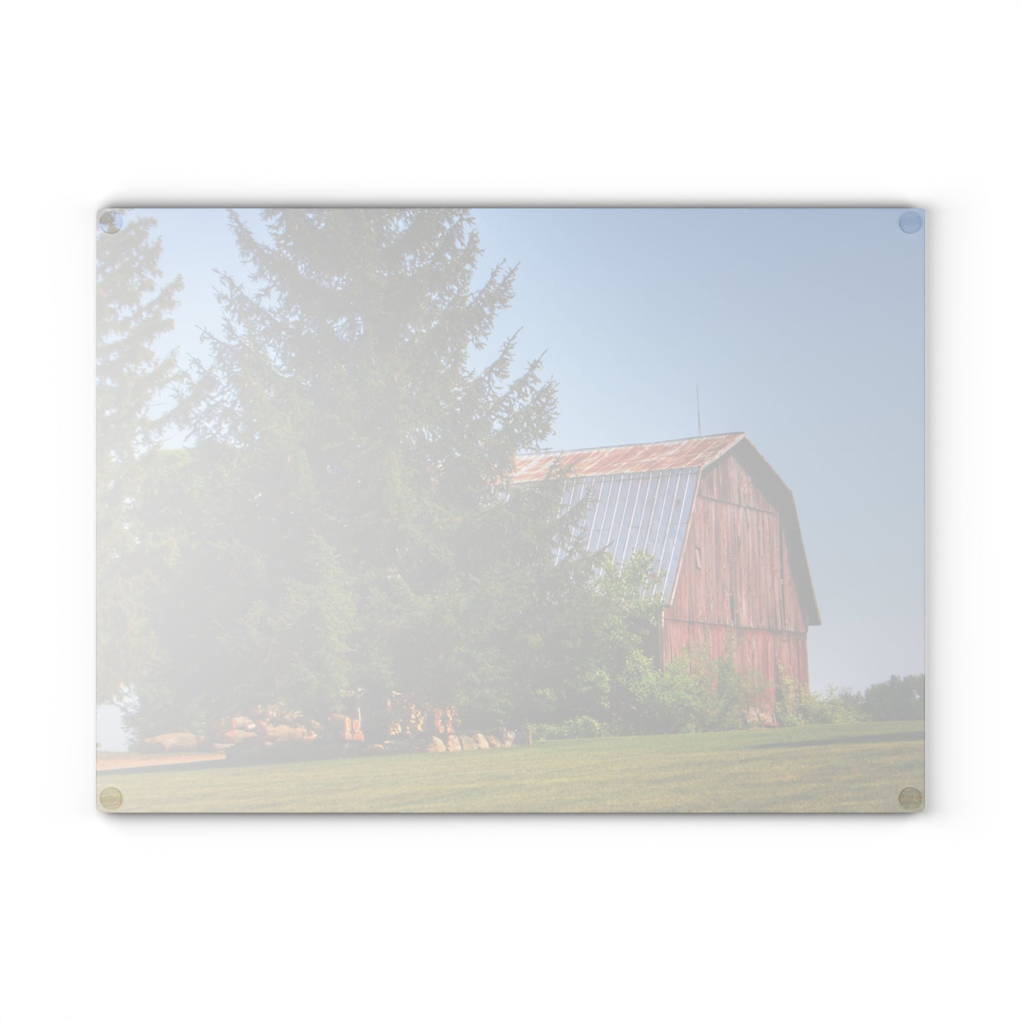 U R There Photography Mushroom Road Hidden Red Rustic Farmhouse Tempered-Glass Cutting Board