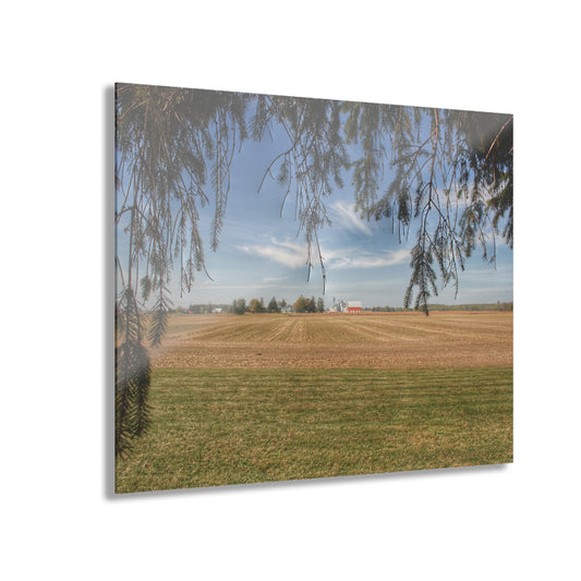U R There Photography Cass City Farm Rustic Farmhouse Acrylic Wall Print