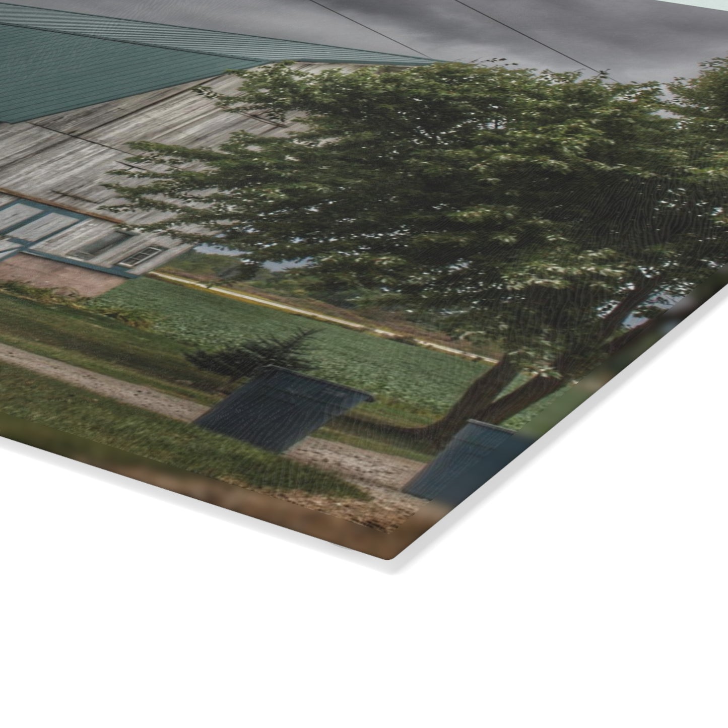U R There Photography Bristol Road White II Rustic Farmhouse Tempered-Glass Cutting Board