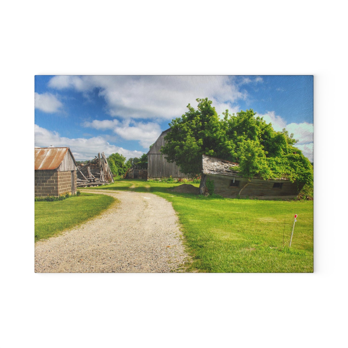U R There Photography Brown City Road Barn and Buddy II Rustic Farmhouse Tempered-Glass Cutting Board