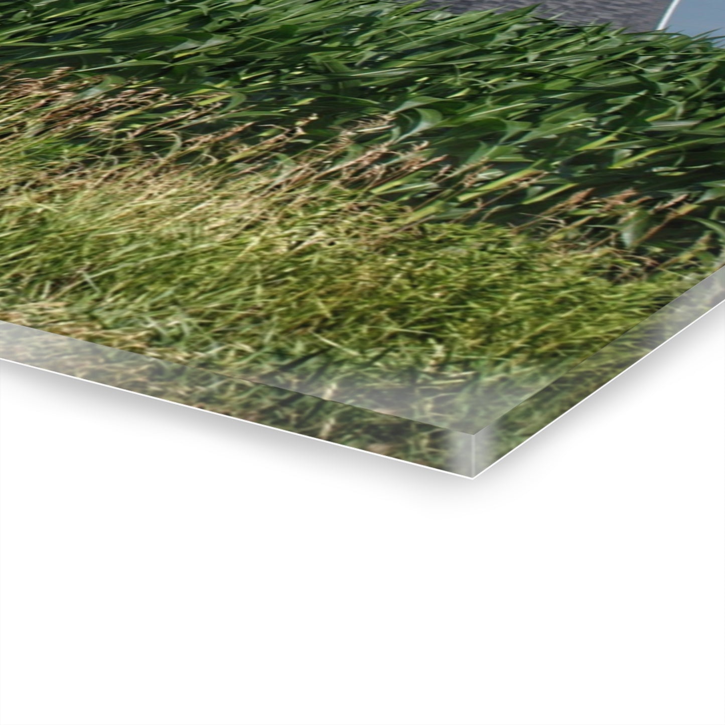 U R There Photography North Lake Pleasant Red Above the Corn Rustic Farmhouse Acrylic Wall Print