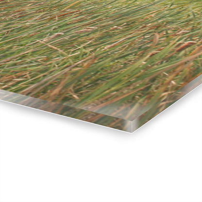 U R There Photography Greenwood Reds Rustic Farmhouse Acrylic Wall Print