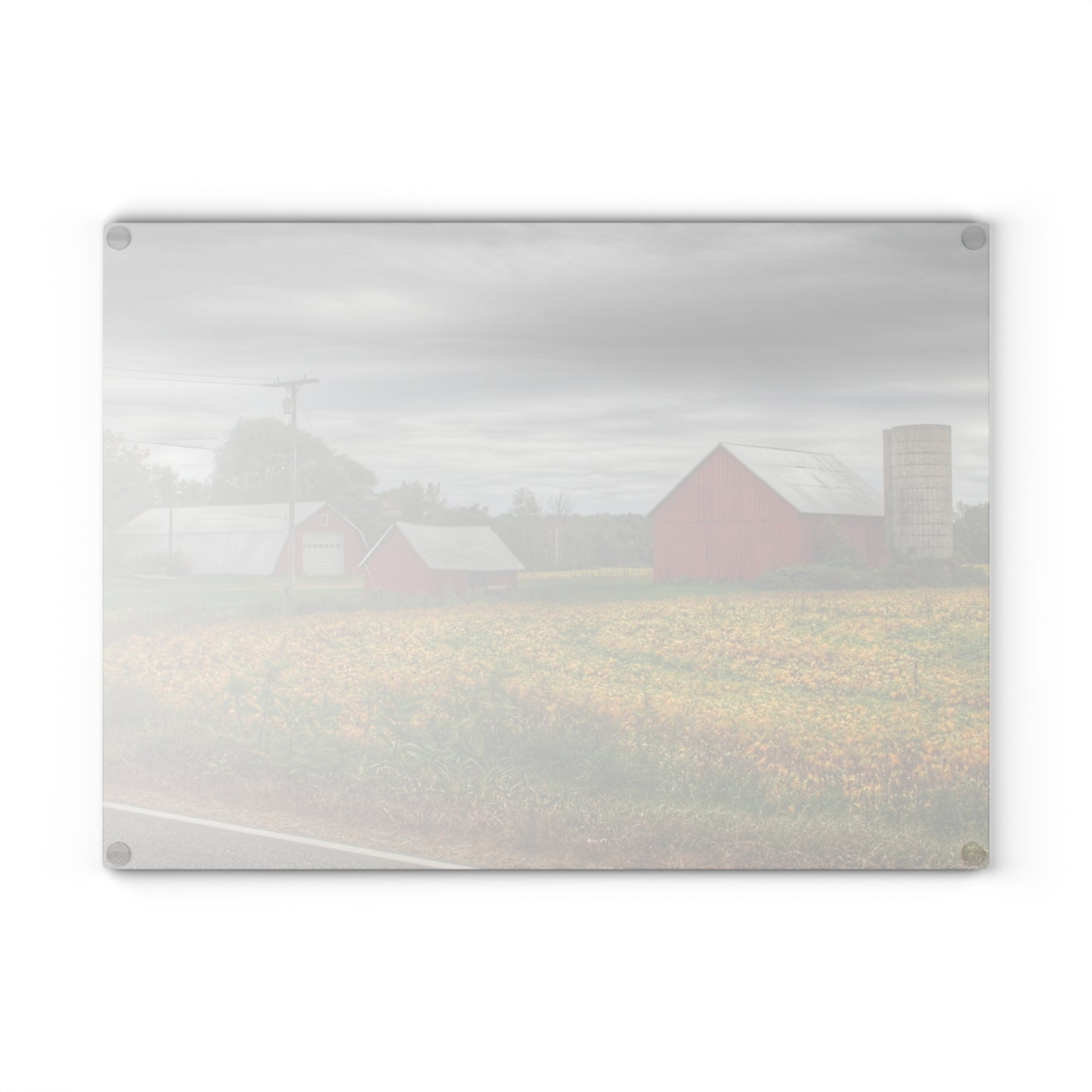 U R There Photography Kingston Road Trio II Rustic Farmhouse Tempered-Glass Cutting Board