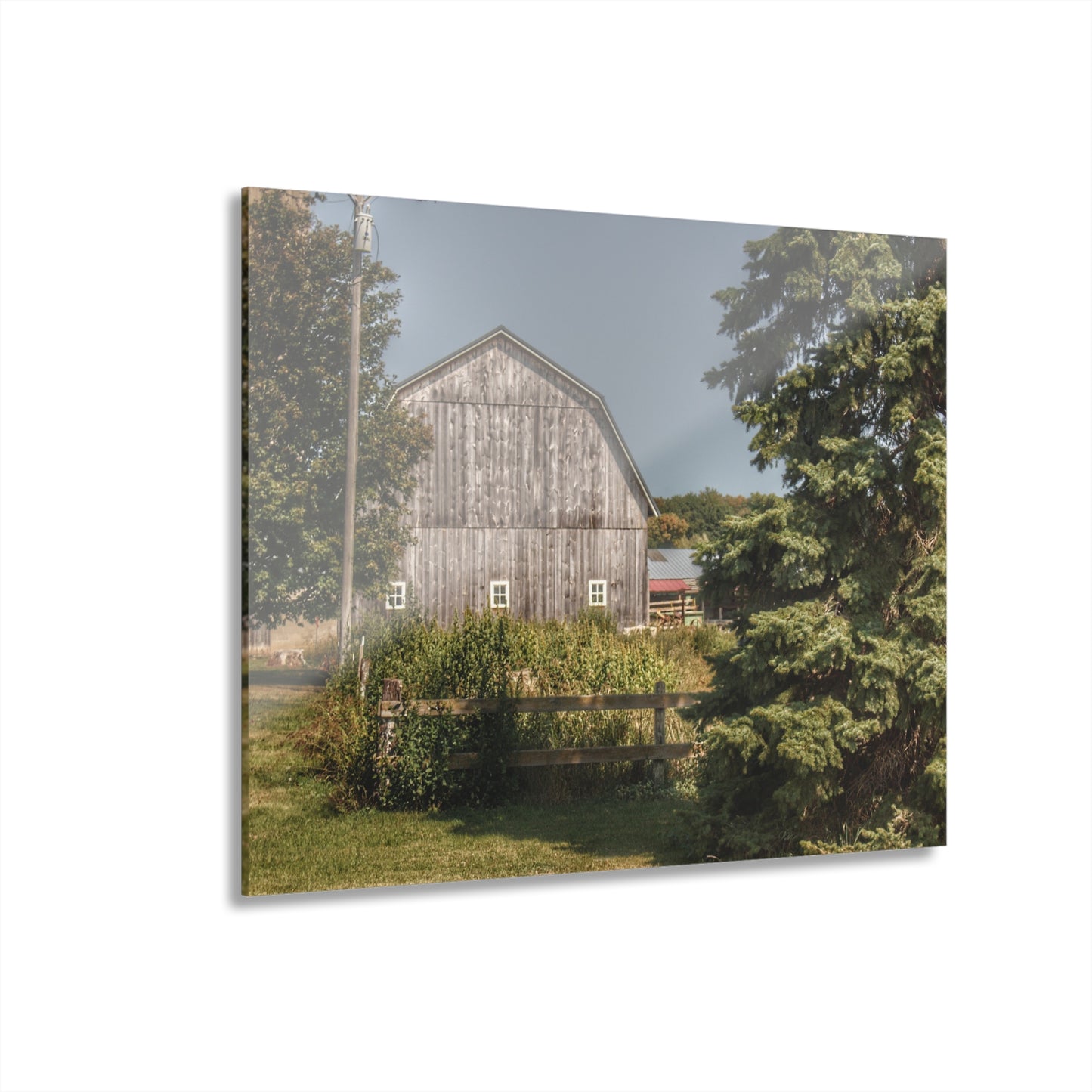 U R There Photography Roadside Grey of Vassar Rustic Farmhouse Acrylic Wall Print