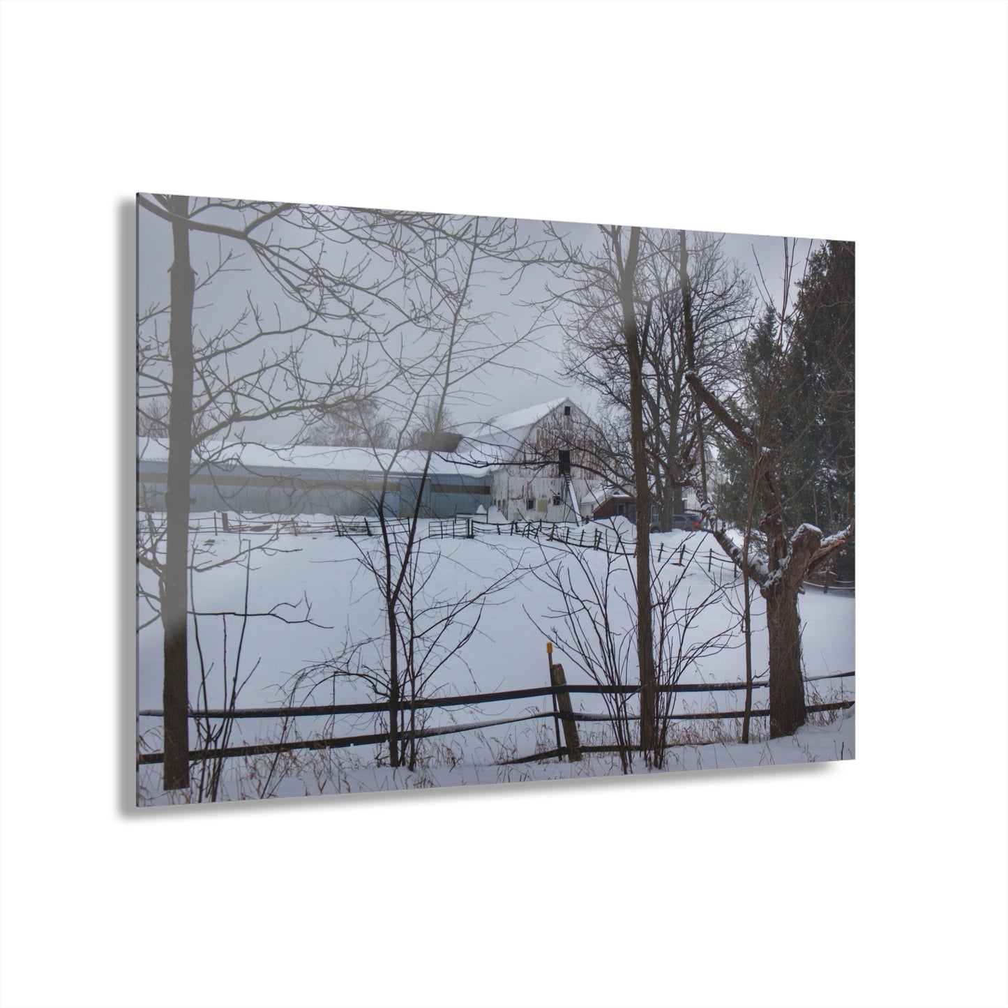 U R There Photography Oakwood Hidden White Rustic Farmhouse Acrylic Wall Print