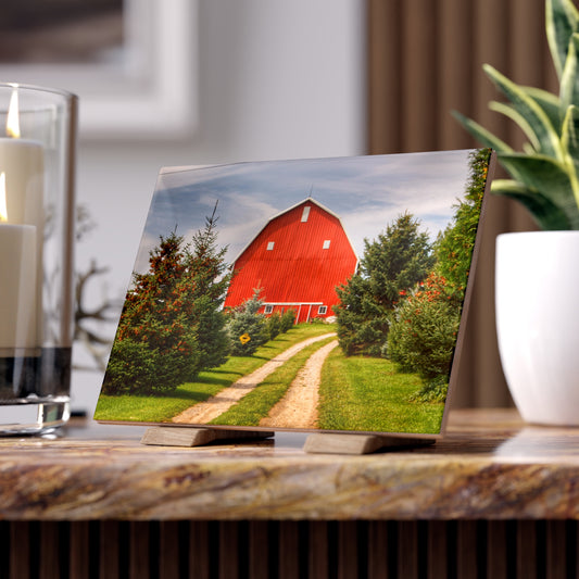 U R There Photography Brown City Road Pine Red Rustic Farmhouse Decorative Ceramic Tile