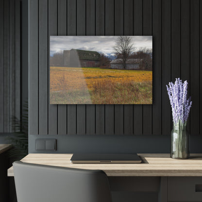U R There Photography Fields of Golden Clover Rustic Farmhouse Acrylic Wall Print