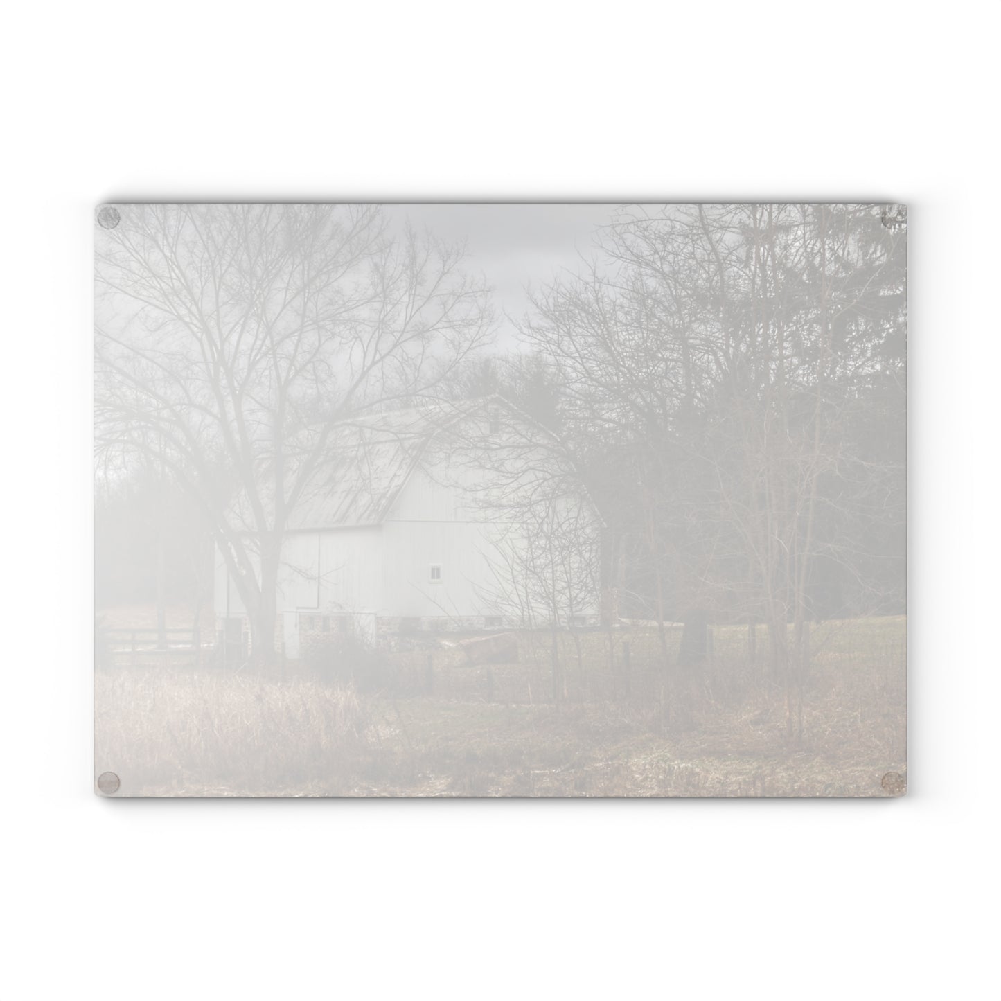 U R There Photography Oakwood Road White II Rustic Farmhouse Tempered-Glass Cutting Board