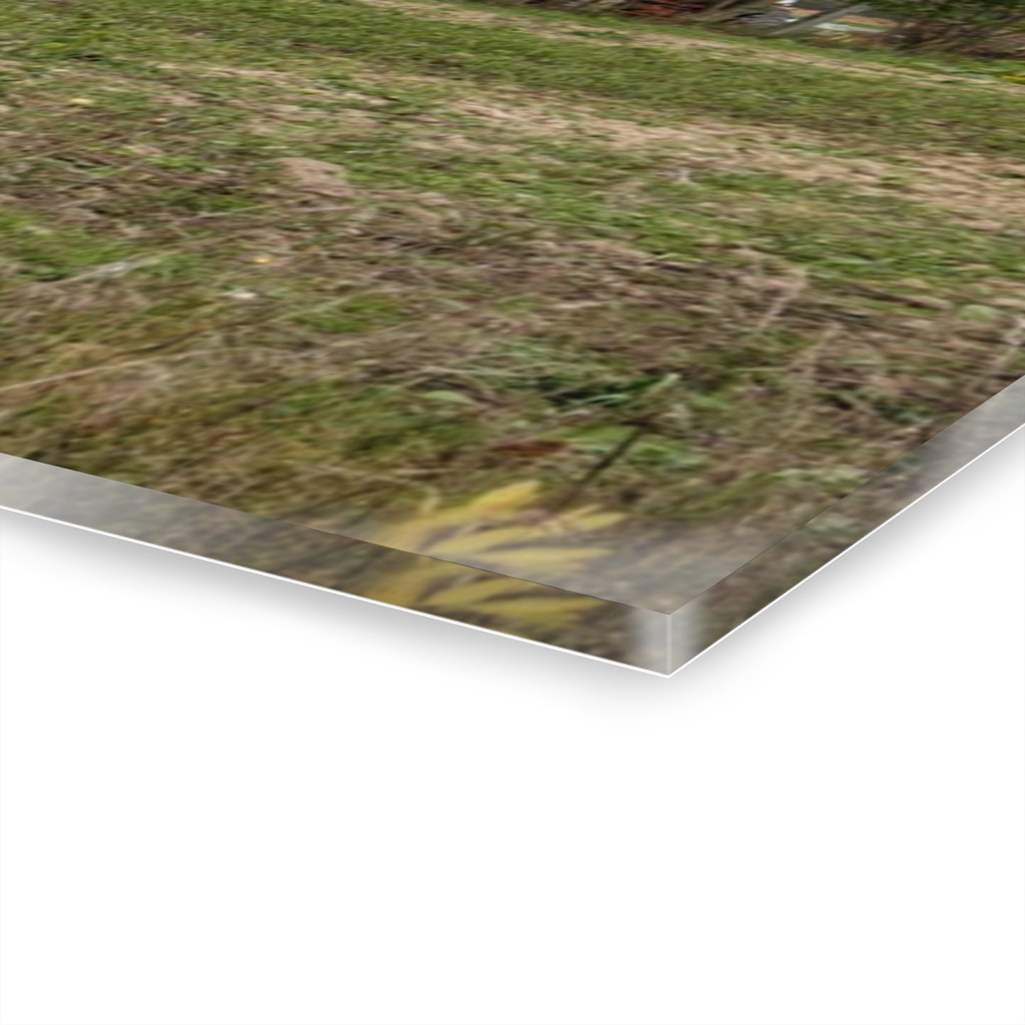 U R There Photography Elmwood Road Red II Rustic Farmhouse Acrylic Wall Print