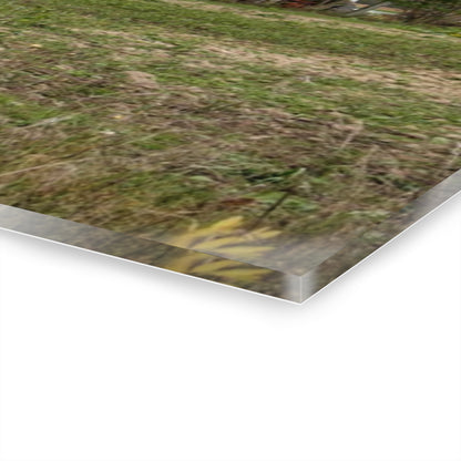 U R There Photography Elmwood Road Red II Rustic Farmhouse Acrylic Wall Print