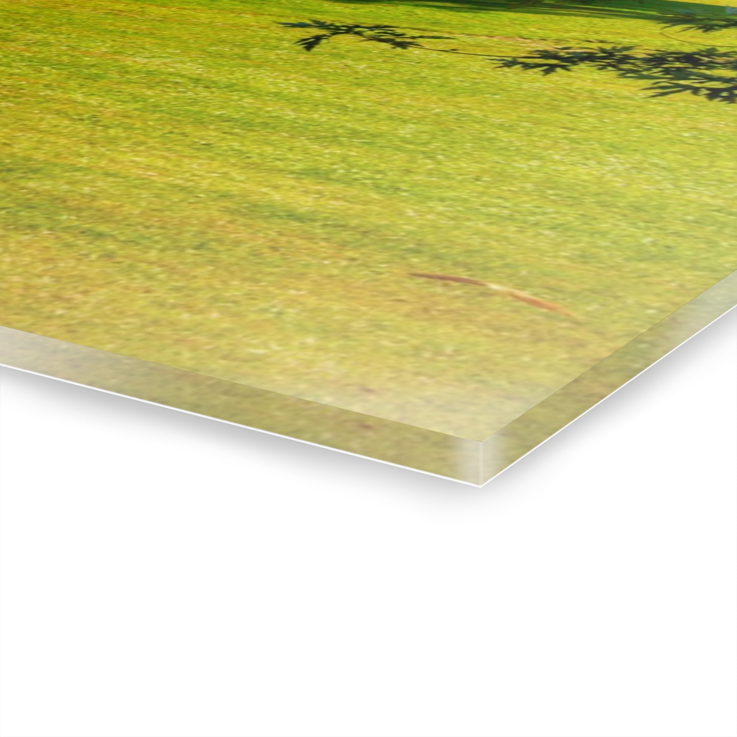 U R There Photography Lake Pleasant Road Hidden Quonset Rustic Farmhouse Acrylic Wall Print