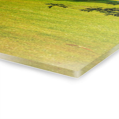 U R There Photography Lake Pleasant Road Hidden Quonset Rustic Farmhouse Acrylic Wall Print