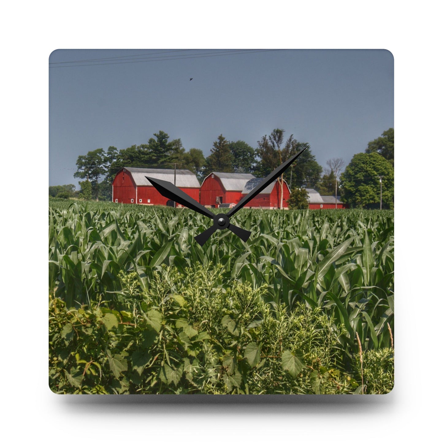 U R There Photography Shoemaker Road Reds Beyond the Corn Rustic Farmhouse Acrylic Analog Wall Clock