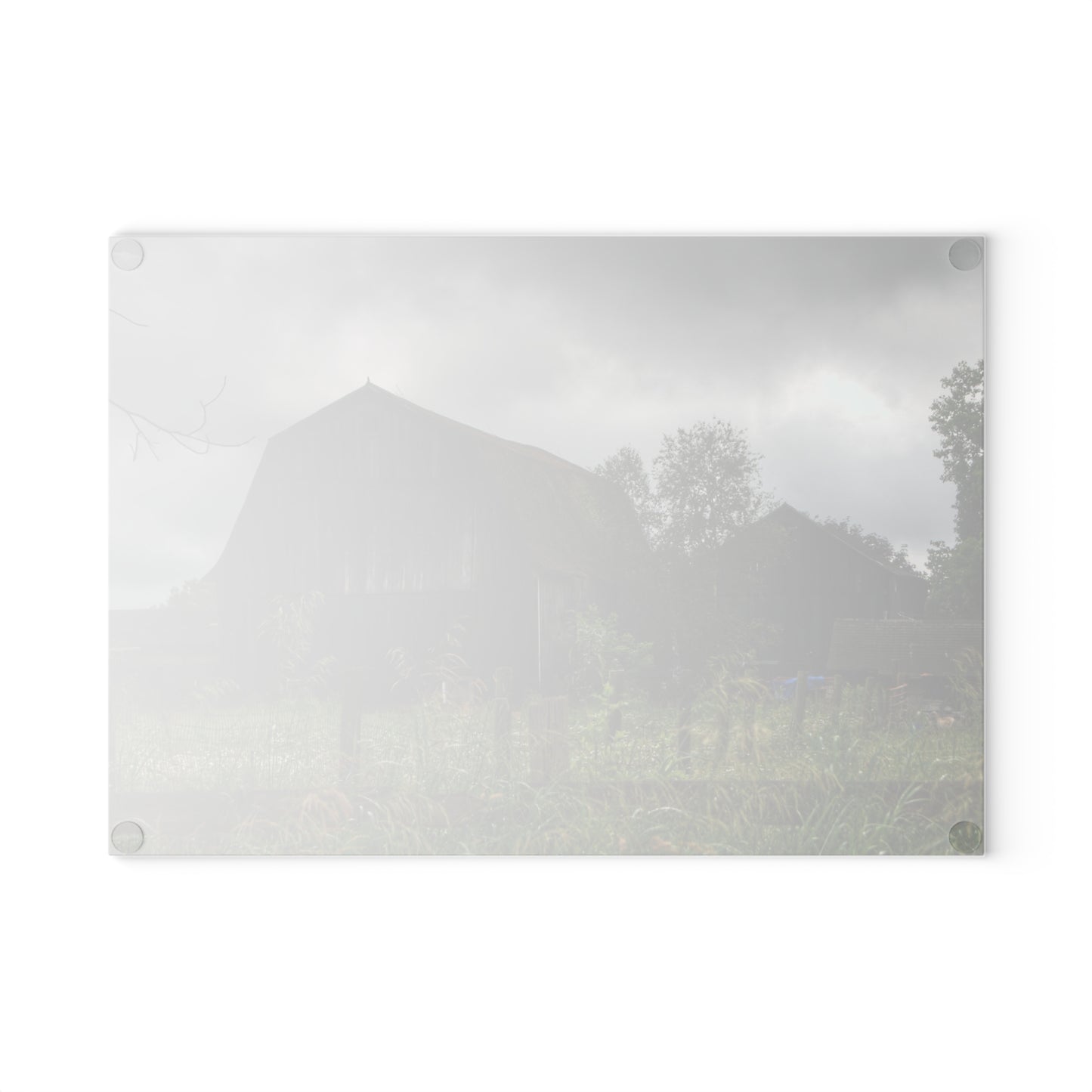 U R There Photography Greys of Summer Road Rustic Farmhouse Tempered-Glass Cutting Board