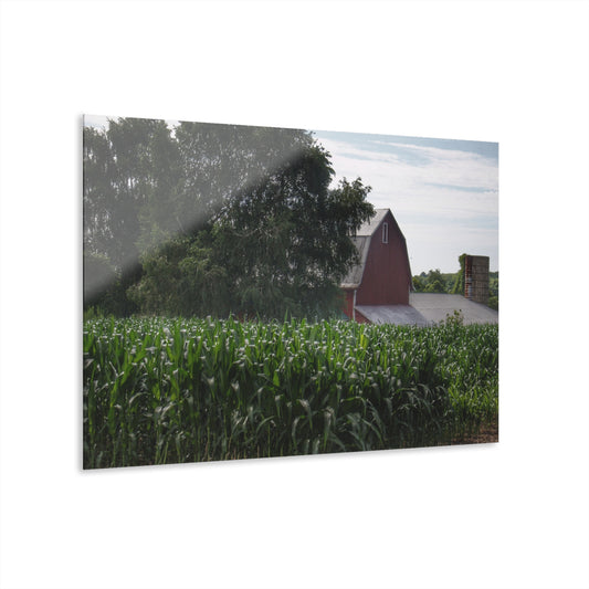 U R There Photography Above the Corn on Piersonville Road III Rustic Farmhouse Acrylic Wall Print