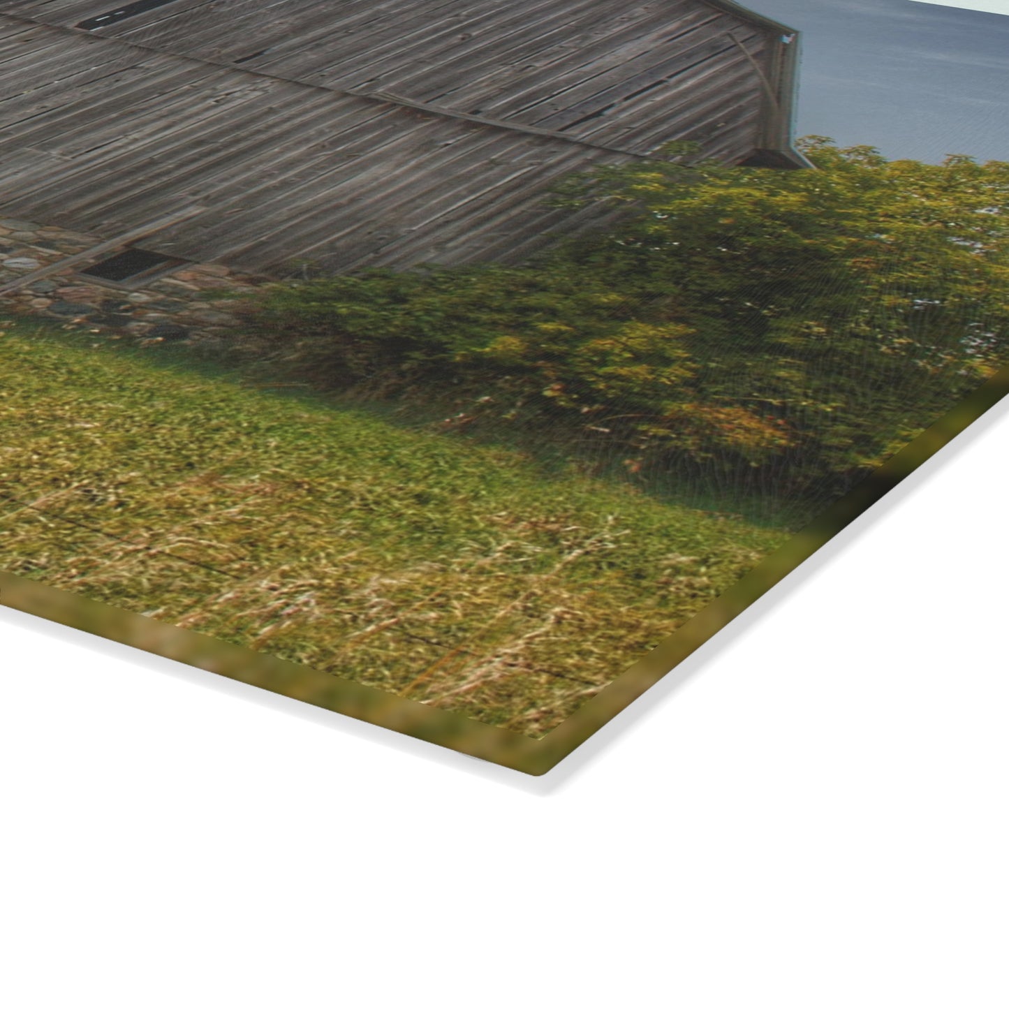 U R There Photography Cat Lake Grey II Rustic Farmhouse Tempered-Glass Cutting Board