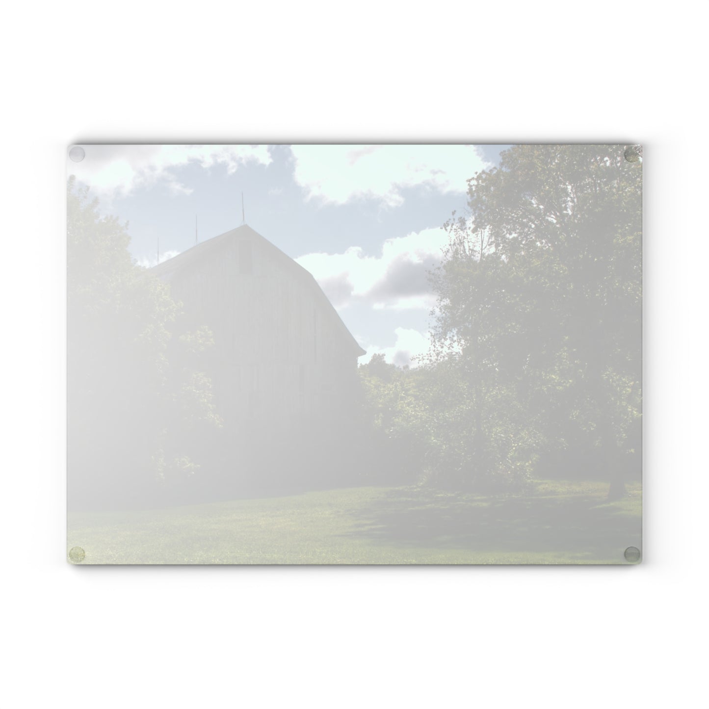 U R There Photography Oakwood Grey Rustic Farmhouse Tempered-Glass Cutting Board