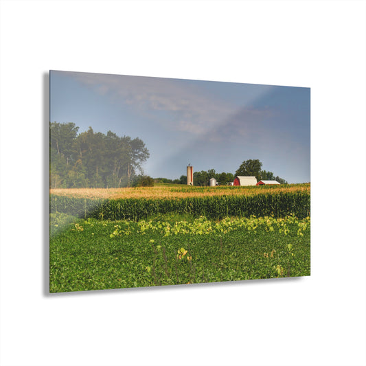 U R There Photography Across the Field in Clifford Rustic Farmhouse Acrylic Wall Print 14 "x 11"